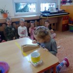 phoca_thumb_m_zajci a vtr 30 Fotogalerie